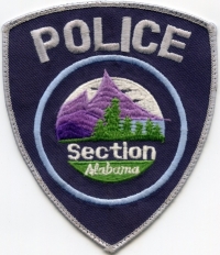 ALSection-Police001