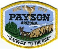 AZ,Payson Police002
