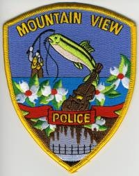 AR,Mountain View Police001