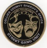 FL,A,Collier County Sheriff Street Gang Unit003