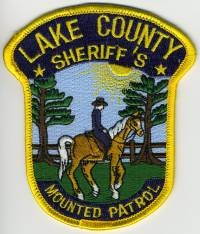 FL,A,Lake County Sheriff Mounted 003
