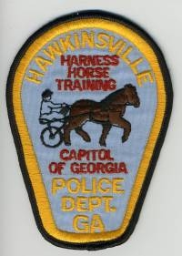 GA,Hawkinsville Police002