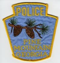 GA,Pine Mountain Police001