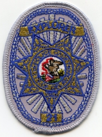 IL,Delavan Police Explorer002