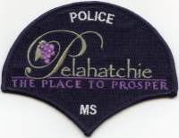 MSPelahatchie-Police003